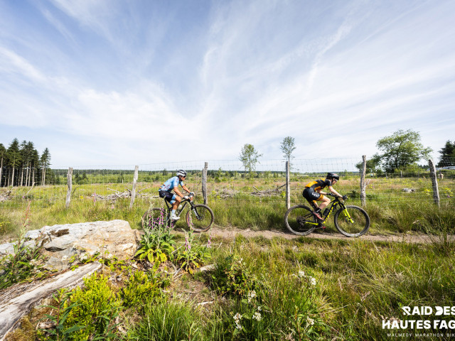 RDHF 2025 - Raid des Hautes Fagnes - photo 189
