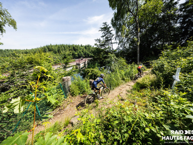 RDHF 2025 - Raid des Hautes Fagnes - photo 199