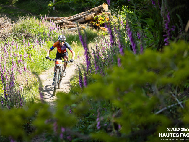 RDHF 2025 - Raid des Hautes Fagnes - photo 202