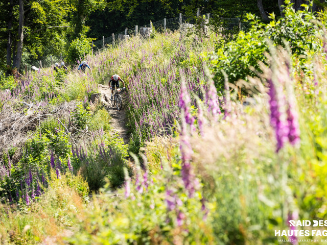 RDHF 2025 - Raid des Hautes Fagnes - photo 206