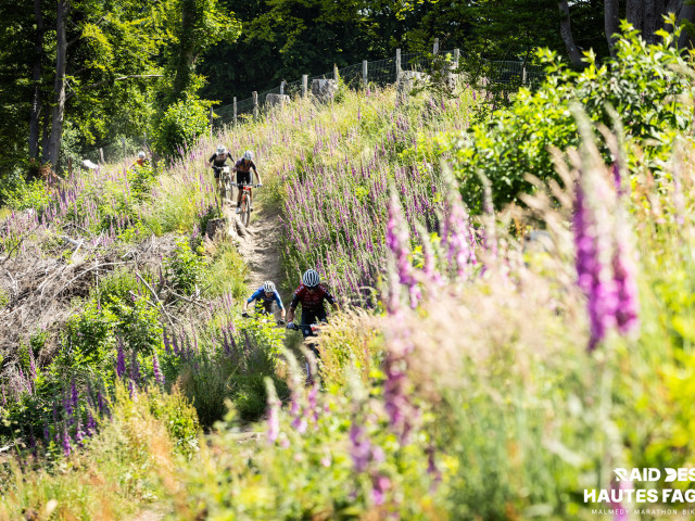 RDHF 2025 - Raid des Hautes Fagnes - photo 207