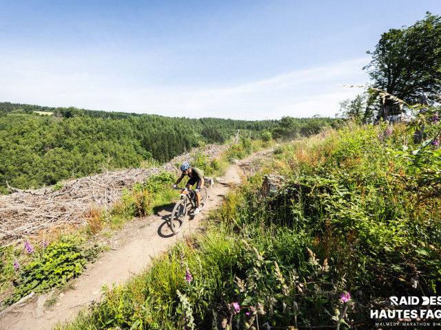 RDHF 2025 - Raid des Hautes Fagnes - photo 212