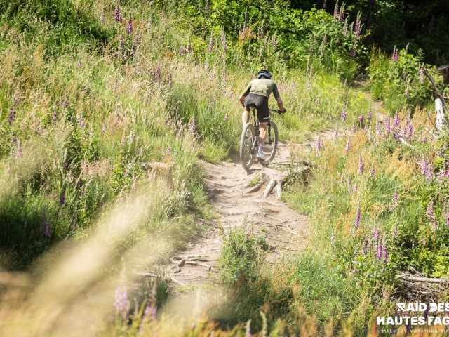 RDHF 2025 - Raid des Hautes Fagnes - photo 214