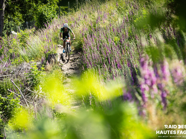 RDHF 2025 - Raid des Hautes Fagnes - photo 215