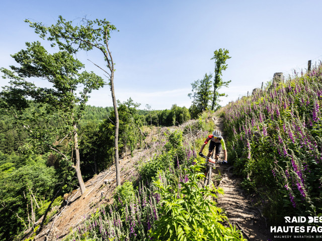 RDHF 2025 - Raid des Hautes Fagnes - photo 217