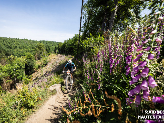 RDHF 2025 - Raid des Hautes Fagnes - photo 220