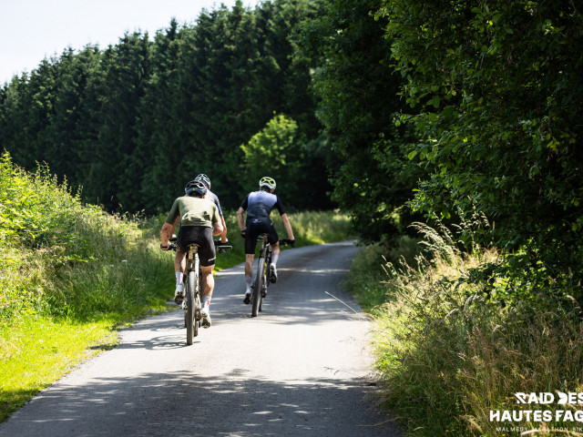 RDHF 2025 - Raid des Hautes Fagnes - photo 224