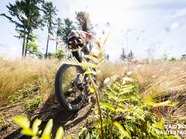 RDHF 2025 - Raid des Hautes Fagnes - photo 226