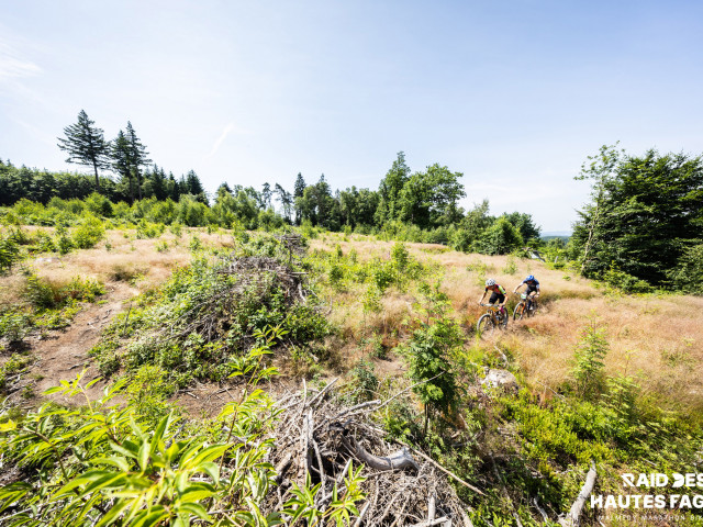 RDHF 2025 - Raid des Hautes Fagnes - photo 228