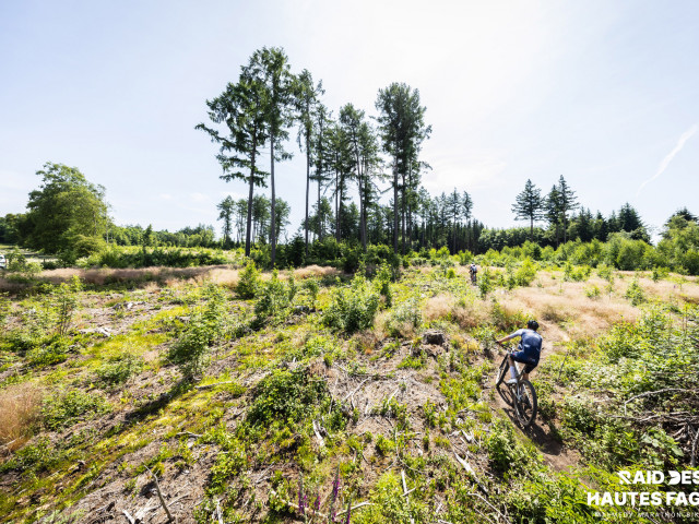 RDHF 2025 - Raid des Hautes Fagnes - photo 229