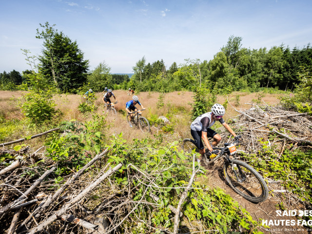 RDHF 2025 - Raid des Hautes Fagnes - photo 230