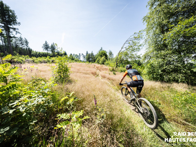 RDHF 2025 - Raid des Hautes Fagnes - photo 235