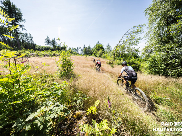 RDHF 2025 - Raid des Hautes Fagnes - photo 236