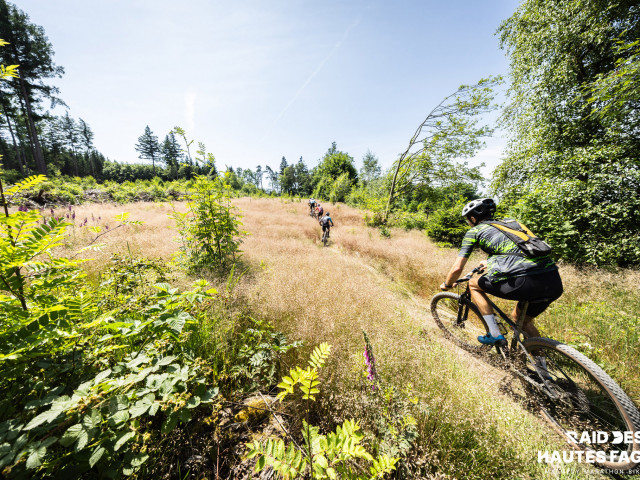 RDHF 2025 - Raid des Hautes Fagnes - photo 237