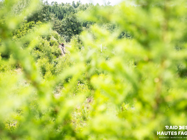 RDHF 2025 - Raid des Hautes Fagnes - photo 243