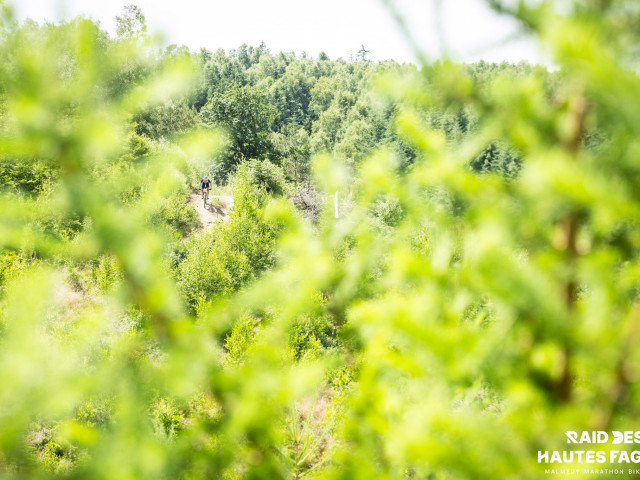 RDHF 2025 - Raid des Hautes Fagnes - photo 244