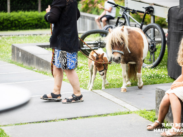 RDHF 2025 - Raid des Hautes Fagnes - photo 413