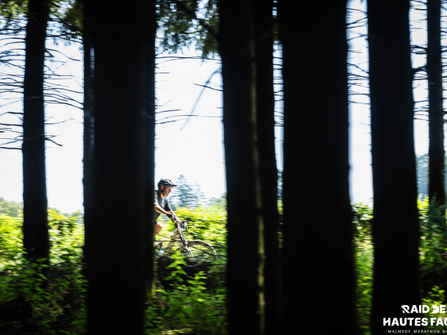 RDHF 2026 - Raid des Hautes Fagnes - photo 231