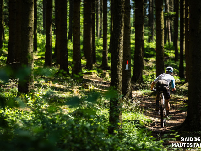RDHF 2026 - Raid des Hautes Fagnes - photo 232