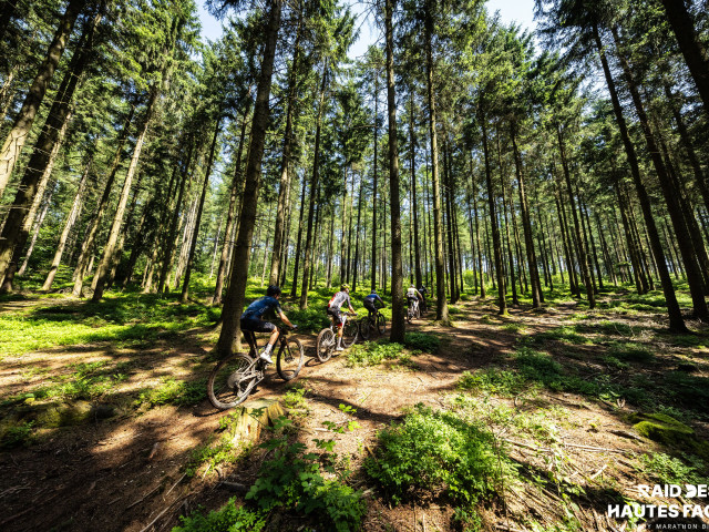 RDHF 2026 - Raid des Hautes Fagnes - photo 239