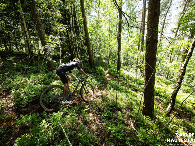 RDHF 2026 - Raid des Hautes Fagnes - photo 242