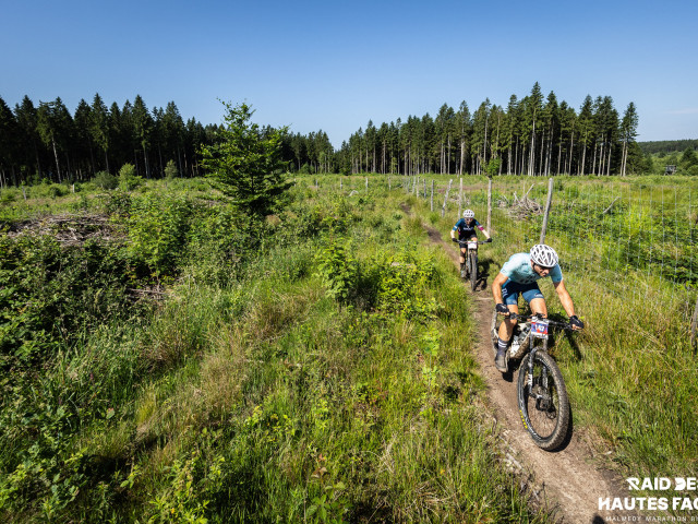 RDHF 2026 - Raid des Hautes Fagnes - photo 300