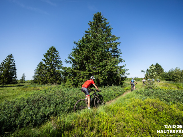 RDHF 2026 - Raid des Hautes Fagnes - photo 359