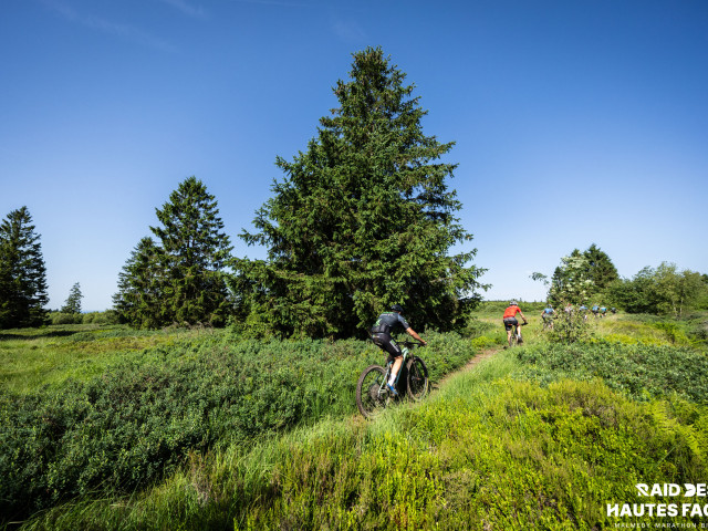 RDHF 2026 - Raid des Hautes Fagnes - photo 360