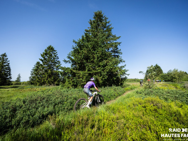 RDHF 2026 - Raid des Hautes Fagnes - photo 361