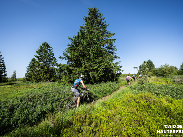 RDHF 2026 - Raid des Hautes Fagnes - photo 363