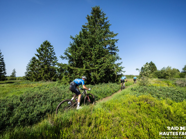 RDHF 2026 - Raid des Hautes Fagnes - photo 364