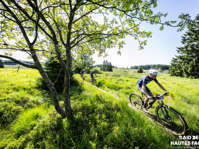 RDHF 2026 - Raid des Hautes Fagnes - photo 367