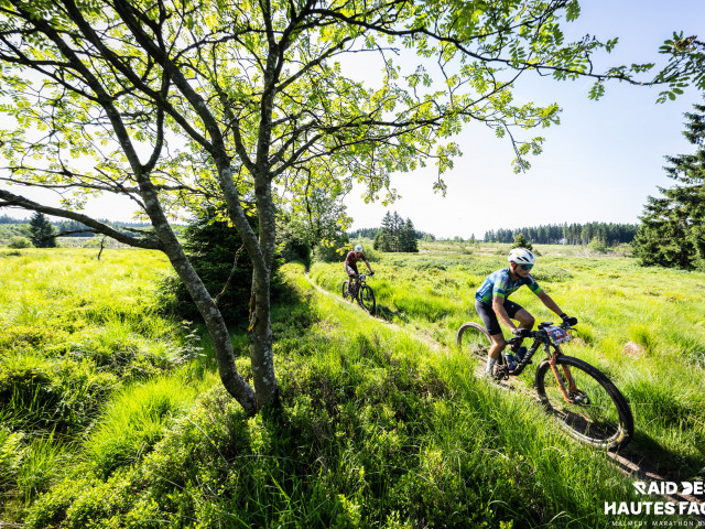 RDHF 2026 - Raid des Hautes Fagnes - photo 368