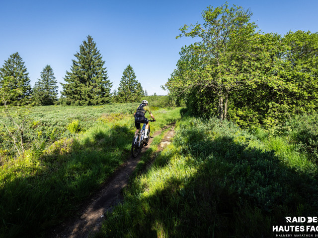 RDHF 2026 - Raid des Hautes Fagnes - photo 370