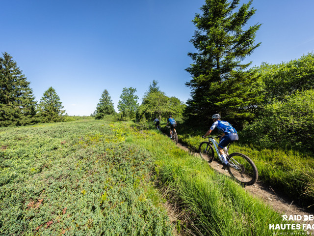 RDHF 2026 - Raid des Hautes Fagnes - photo 371