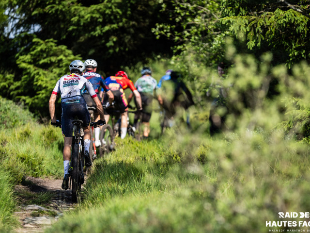 RDHF 2026 - Raid des Hautes Fagnes - photo 374
