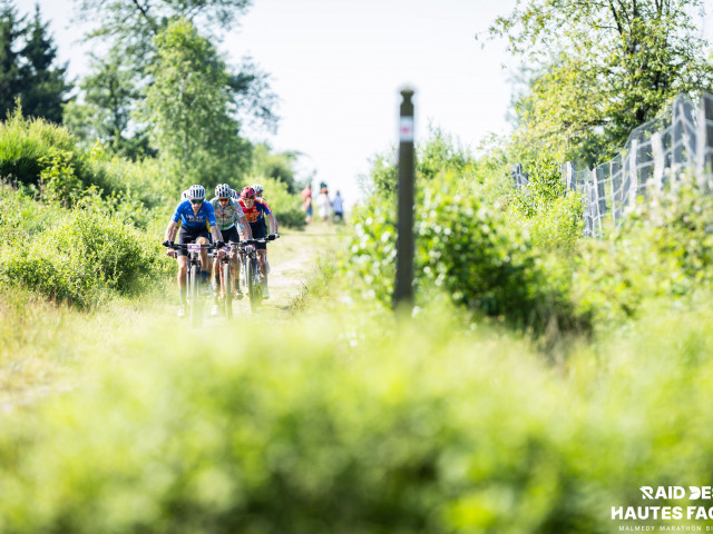 RDHF 2026 - Raid des Hautes Fagnes - photo 378