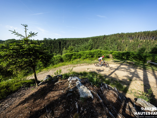 RDHF 2026 - Raid des Hautes Fagnes - photo 390