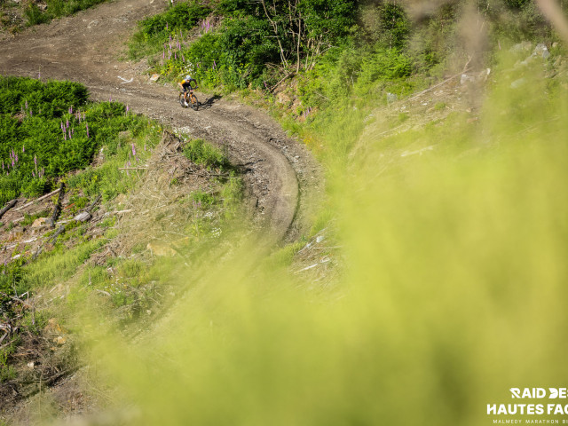 RDHF 2026 - Raid des Hautes Fagnes - photo 412