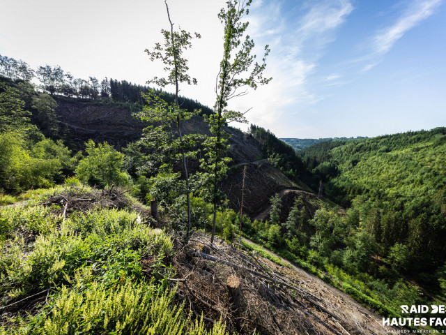RDHF 2026 - Raid des Hautes Fagnes - photo 416